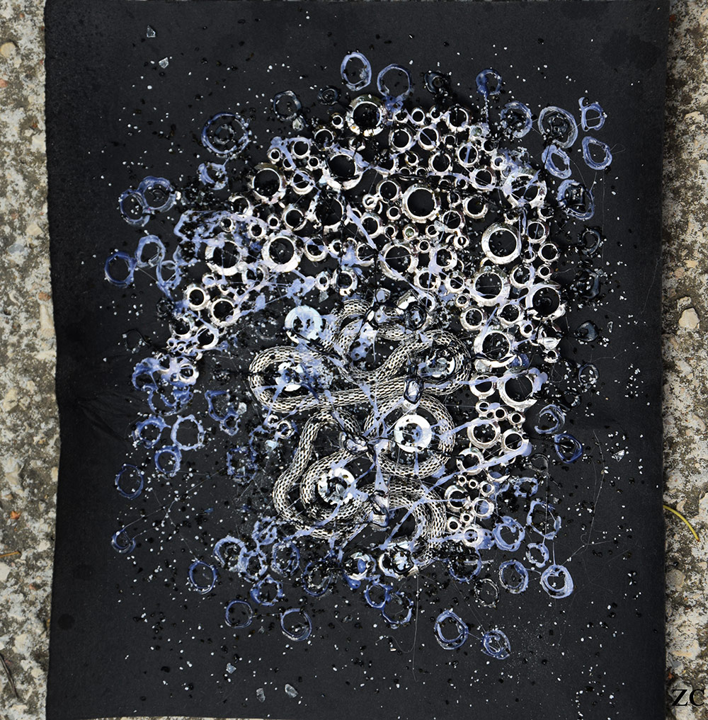 Fossile - 5 par Zandrine C